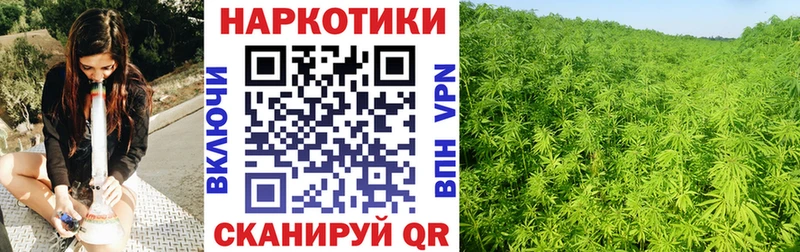 Наркошоп купить АМФ  МЕФ  ГАШИШ  Канабис  Cocaine  Камбарка