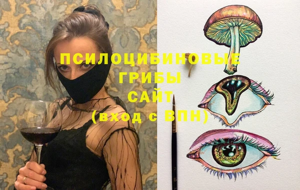 мдма Ельня