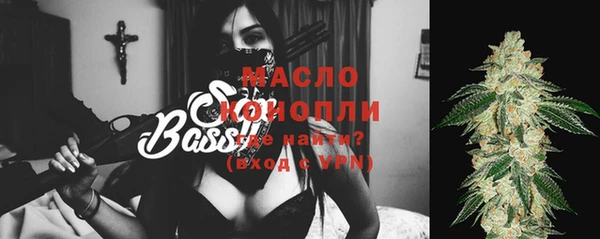мдма Ельня