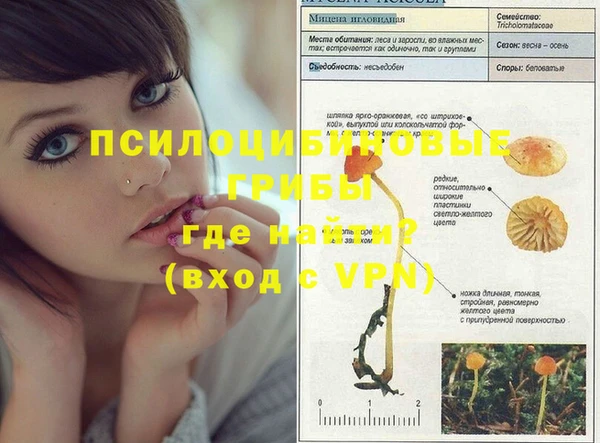 мдма Ельня